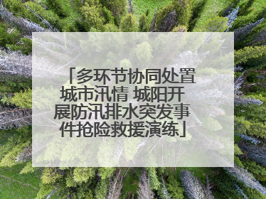 多环节协同处置城市汛情 城阳开展防汛排水突发事件抢险救援演练