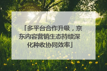 多平台合作升级，京东内容营销生态持续深化种收协同效率