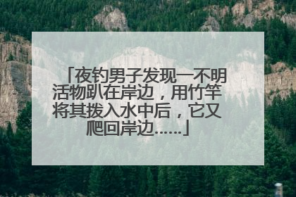 夜钓男子发现一不明活物趴在岸边，用竹竿将其拨入水中后，它又爬回岸边……
