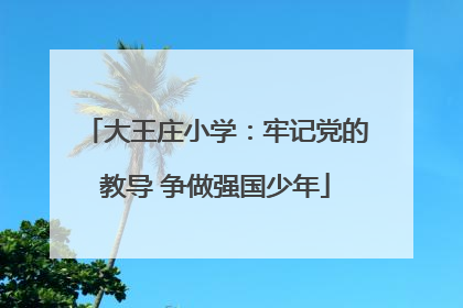 大王庄小学：牢记党的教导 争做强国少年