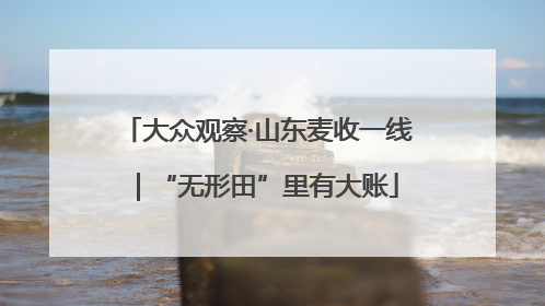 大众观察·山东麦收一线｜“无形田”里有大账
