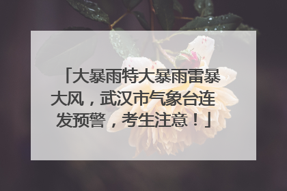 大暴雨特大暴雨雷暴大风，武汉市气象台连发预警，考生注意！