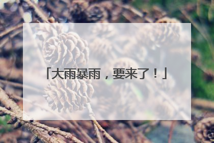 大雨暴雨，要来了！