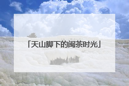 天山脚下的闽茶时光