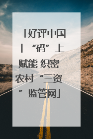 好评中国丨“码”上赋能 织密农村“三资”监管网
