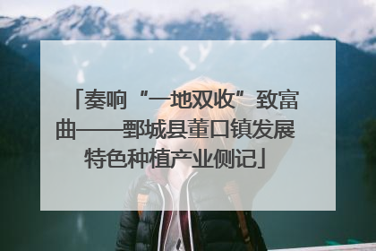 奏响“一地双收”致富曲——鄄城县董口镇发展特色种植产业侧记