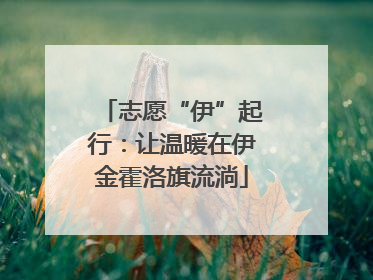 志愿“伊”起行：让温暖在伊金霍洛旗流淌