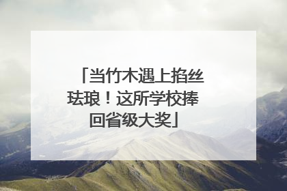当竹木遇上掐丝珐琅！这所学校捧回省级大奖