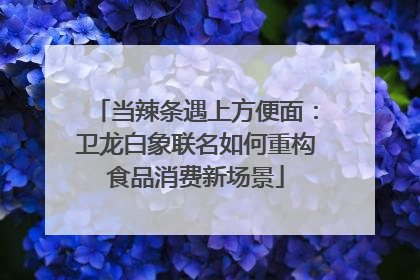 当辣条遇上方便面：卫龙白象联名如何重构食品消费新场景