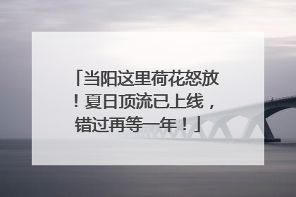 当阳这里荷花怒放！夏日顶流已上线，错过再等一年！
