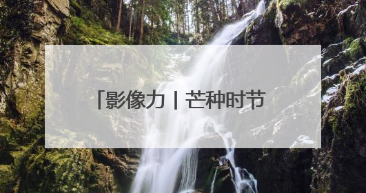 影像力丨芒种时节 田间地头绘“丰”景