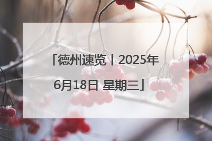 德州速览丨2025年6月18日 星期三
