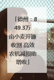 德州：849.3万亩小麦开镰收割 高效农机减损助增收