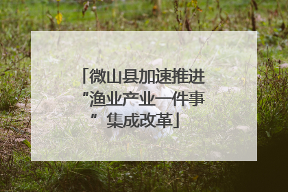 微山县加速推进“渔业产业一件事”集成改革
