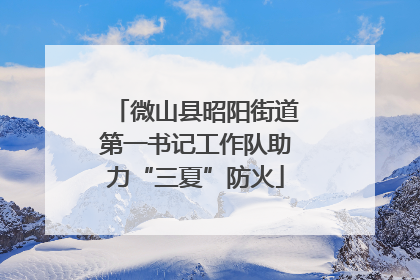 微山县昭阳街道第一书记工作队助力“三夏”防火