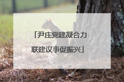 尹庄党建凝合力 联建议事促振兴