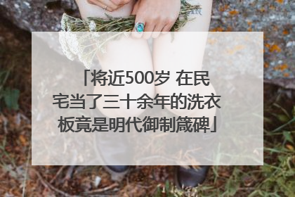 将近500岁 在民宅当了三十余年的洗衣板竟是明代御制箴碑