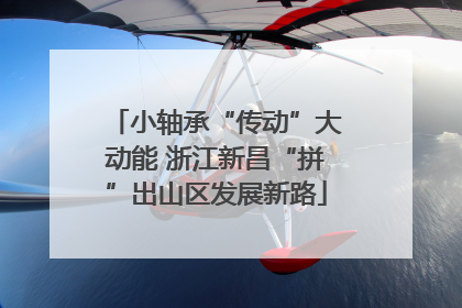 小轴承“传动”大动能 浙江新昌“拼”出山区发展新路