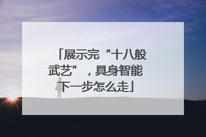 展示完“十八般武艺”，具身智能下一步怎么走