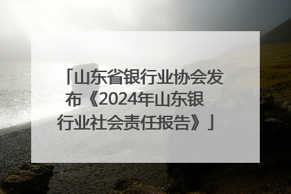 山东省银行业协会发布《2024年山东银行业社会责任报告》