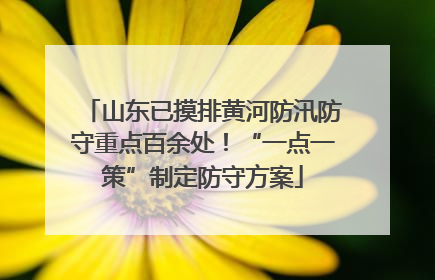 山东已摸排黄河防汛防守重点百余处！“一点一策”制定防守方案
