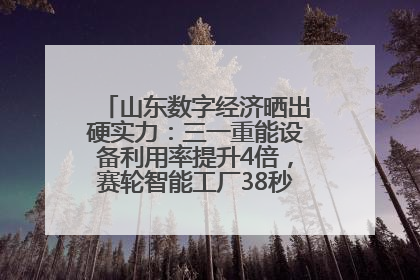 山东数字经济晒出硬实力：三一重能设备利用率提升4倍，赛轮智能工厂38秒生产一条轮胎