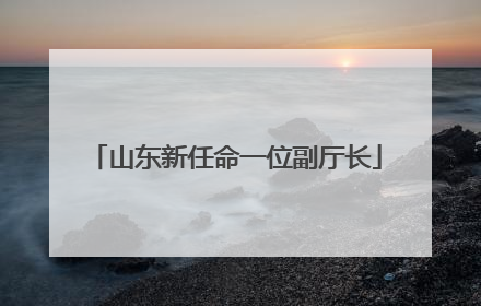 山东新任命一位副厅长