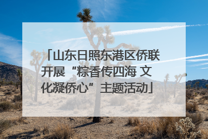 山东日照东港区侨联开展“粽香传四海 文化凝侨心”主题活动