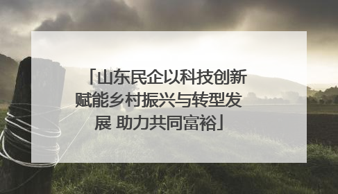 山东民企以科技创新赋能乡村振兴与转型发展 助力共同富裕