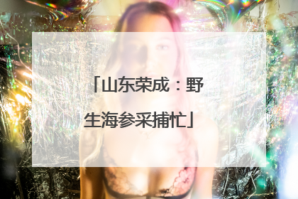 山东荣成：野生海参采捕忙