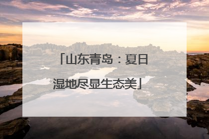 山东青岛：夏日湿地尽显生态美