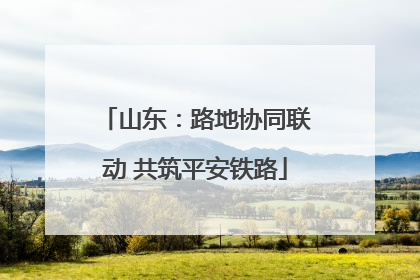 山东：路地协同联动 共筑平安铁路
