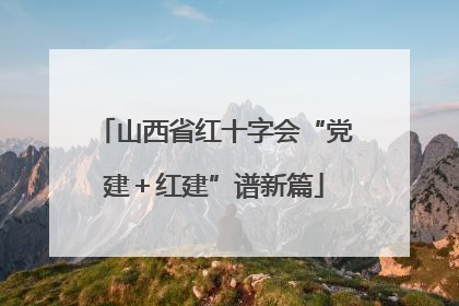 山西省红十字会“党建＋红建”谱新篇