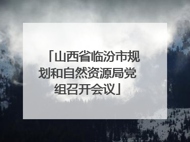 山西省临汾市规划和自然资源局党组召开会议