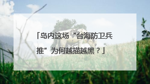 岛内这场“台海防卫兵推”为何越描越黑？