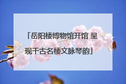 岳阳楼博物馆开馆 呈现千古名楼文脉琴韵