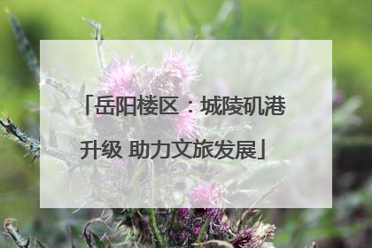岳阳楼区：城陵矶港升级 助力文旅发展