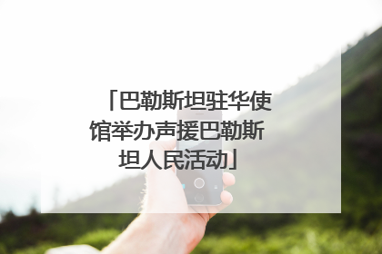 巴勒斯坦驻华使馆举办声援巴勒斯坦人民活动
