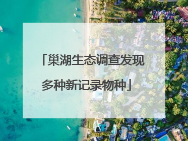巢湖生态调查发现多种新记录物种