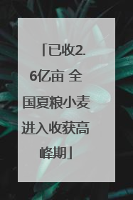 已收2.6亿亩 全国夏粮小麦进入收获高峰期