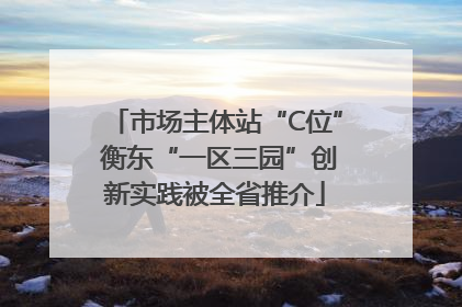市场主体站“C位” 衡东“一区三园”创新实践被全省推介