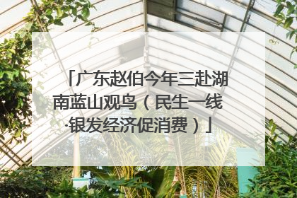 广东赵伯今年三赴湖南蓝山观鸟（民生一线·银发经济促消费）