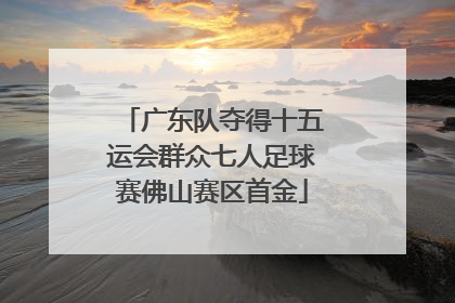 广东队夺得十五运会群众七人足球赛佛山赛区首金