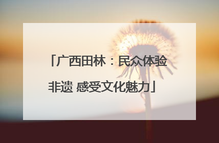 广西田林：民众体验非遗 感受文化魅力