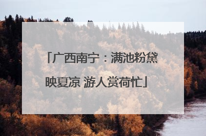 广西南宁：满池粉黛映夏凉 游人赏荷忙