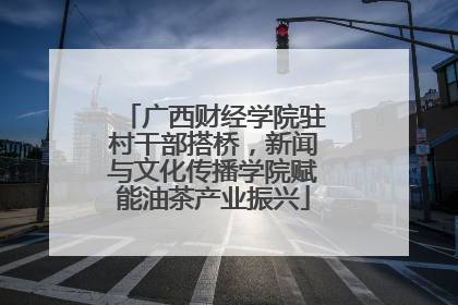 广西财经学院驻村干部搭桥，新闻与文化传播学院赋能油茶产业振兴