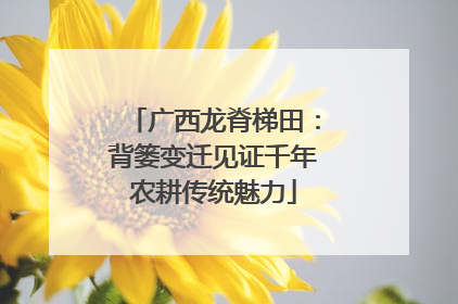 广西龙脊梯田：背篓变迁见证千年农耕传统魅力