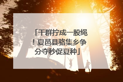 干群拧成一股绳！夏邑县骆集乡争分夺秒促夏种