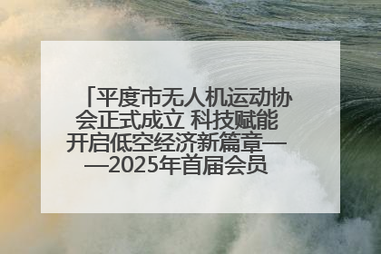平度市无人机运动协会正式成立 科技赋能开启低空经济新篇章——2025年首届会员大会暨无人机应用发展论坛成功举办