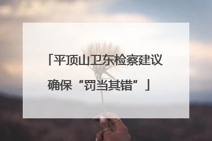 平顶山卫东检察建议确保“罚当其错”